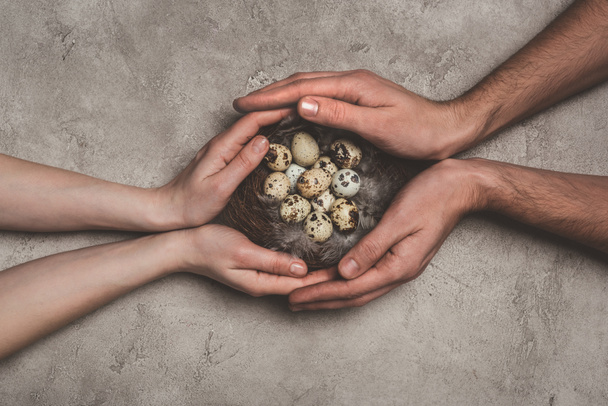 vue recadrée d'un couple tenant un nid avec des œufs de caille sur une surface en béton
  - Photo, image