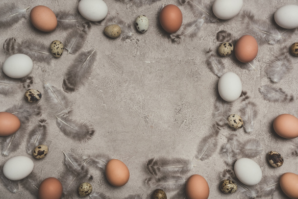 marco de huevos de pollo y codorniz en superficie de hormigón con plumas
 - Foto, Imagen