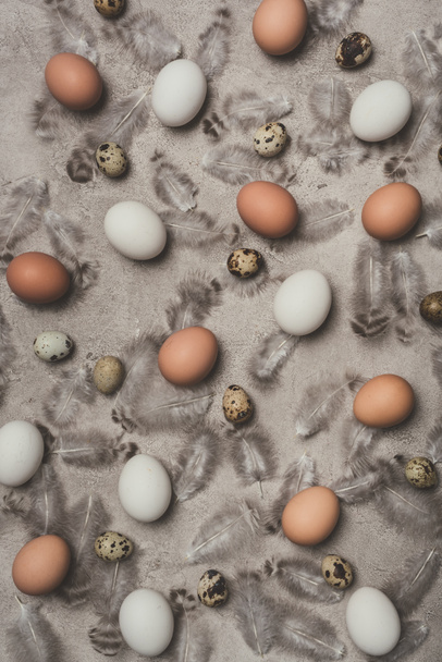 top view of chicken and quail eggs on concrete surface with feathers - Foto, Imagen