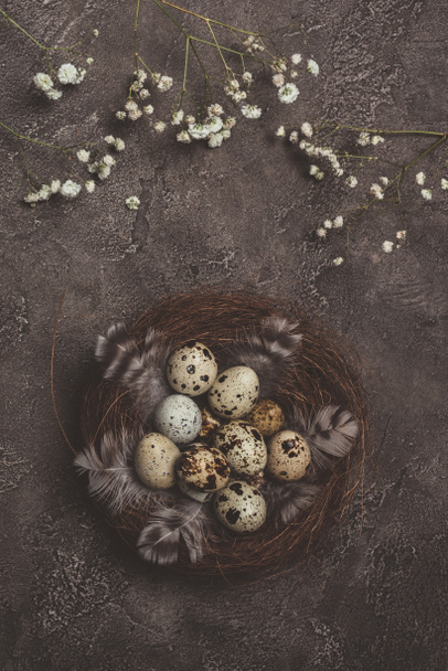 top view of quail eggs with feathers in nest on table with white flowers, decorations for Easter - Zdjęcie, obraz