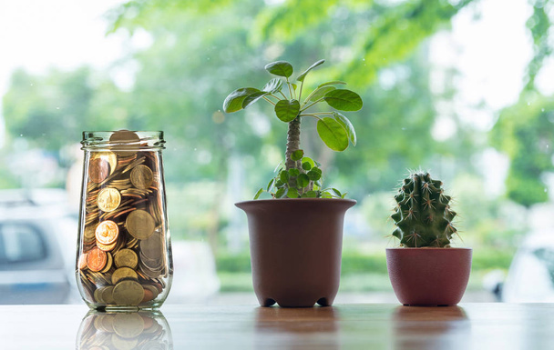 Monete d'oro in bottiglia trasparente con Cactus in vaso sul tavolo di legno sullo sfondo sfocato della foto, concetto di crescita degli investimenti aziendali
 - Foto, immagini