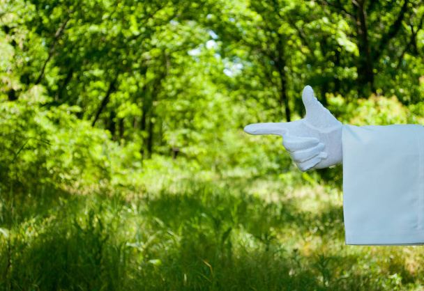 die Kellnerhand in weißem Handschuh und mit weißer Serviette zeigt mit den Fingern auf einem grünen Hintergrund aus Bäumen und Büschen auf verschwommenem Hintergrund ein Zeichen der Richtung nach links - Foto, Bild