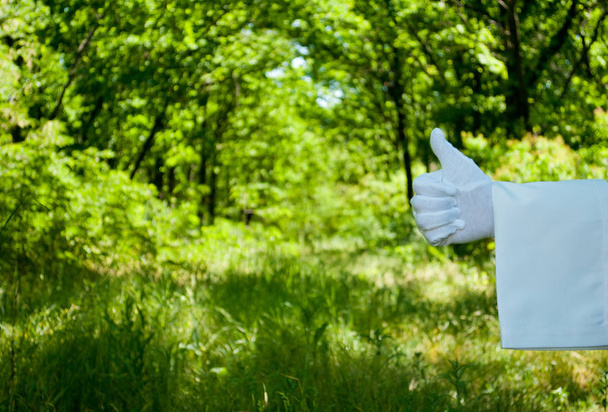 Pokazuje ręką kelnera w białych rękawiczkach i z biała serwetka palcami jak znak z lewej strony na zielonym tle drzew i krzewów na niewyraźne tło - Zdjęcie, obraz