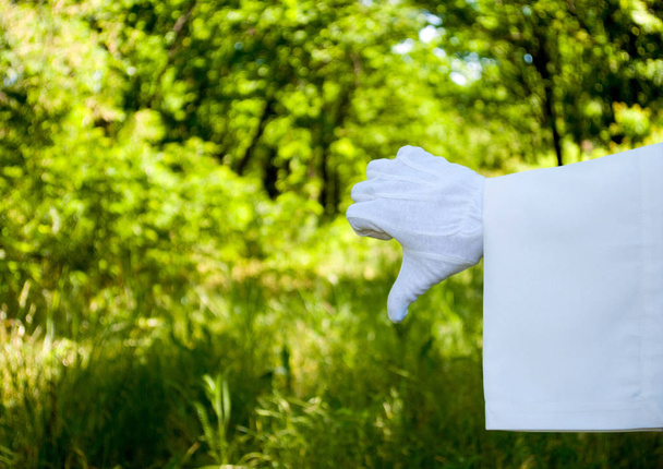Hand des Kellners in weißem Handschuh und mit weißer Serviette, auf der mit den Fingern ein Schild auf der rechten Seite vor grünem Hintergrund von Bäumen und Sträuchern auf verschwommenem Hintergrund zu sehen ist - Foto, Bild