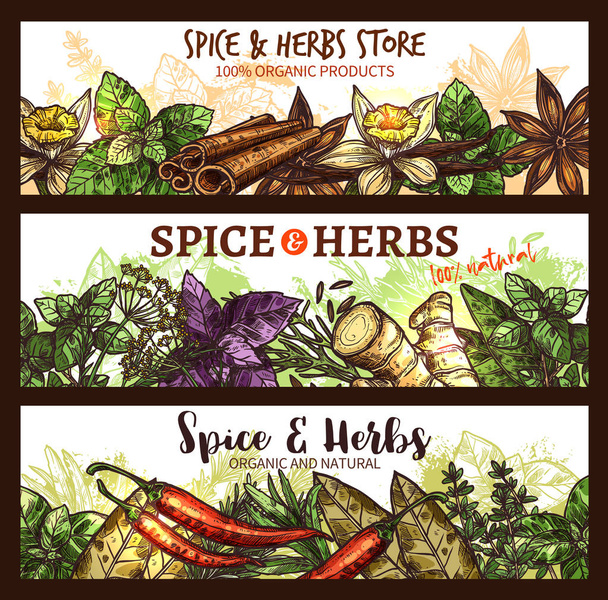 Vector spices and herbs farm store banners - Vector, Image