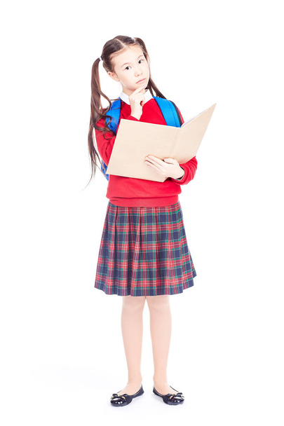 Schoolgirl with notepad - Valokuva, kuva