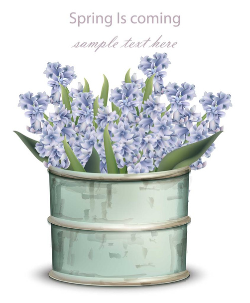 hyacinth blue flower bouquet Vector. Spring is coming card illustrations - ベクター画像
