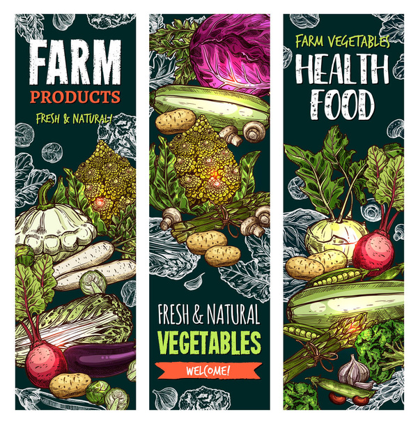 Vector sketch banners of natural farm vegetables - Vector, Image