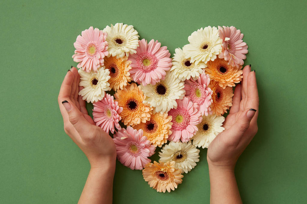 female hands holding heart made of fresh gerbera flowers on green background, St. Valentine's Day - Фото, зображення