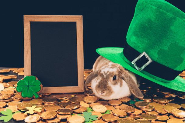 króliki, siedząc na złote monety w zielonym kapeluszu, st patricks day koncepcja - Zdjęcie, obraz