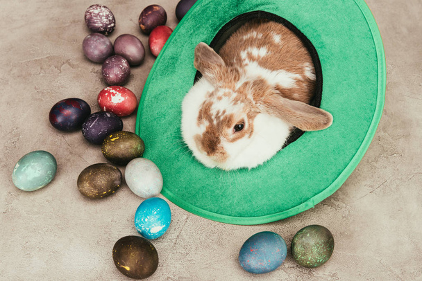 high angle view of domestic rabbit lying in green hat with easter eggs on surface - Foto, immagini