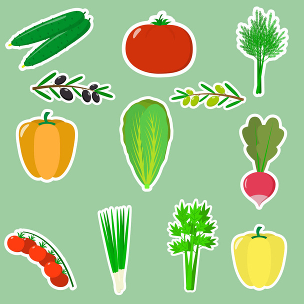 A set of fresh vegetables in a white stroke on a green background. - Vektor, obrázek