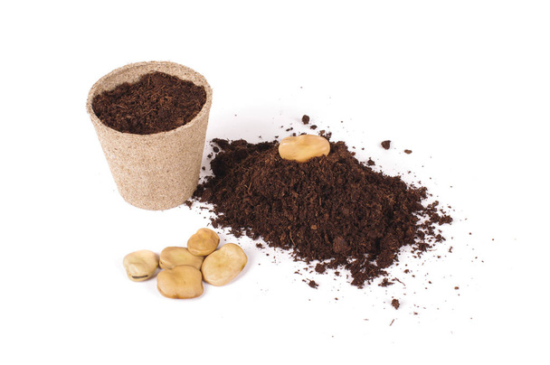Conceito de Argicultura: sementes, montes de solo e vasos de turfa
 - Foto, Imagem