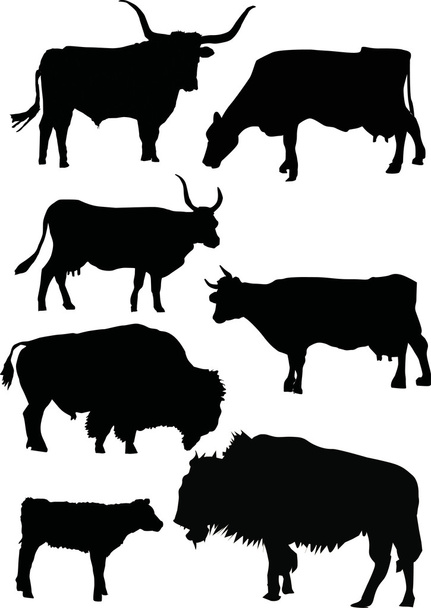 Buffalo και αγελάδα σιλουέτες - Διάνυσμα, εικόνα