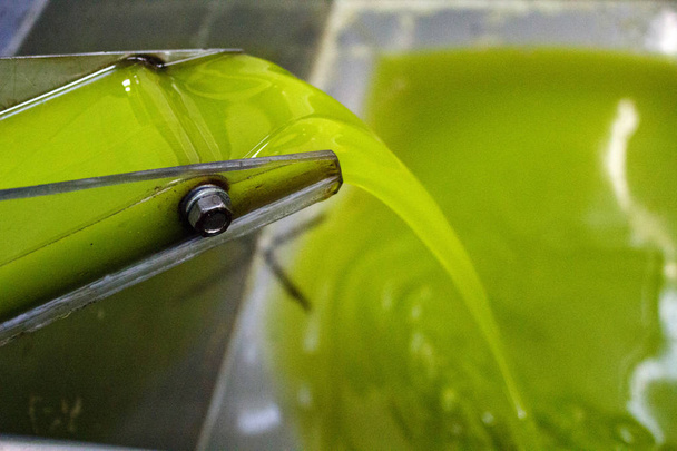Proceso de extracción de aceite de oliva virgen extra en la almazara de Kalamata, Grecia
. - Foto, imagen