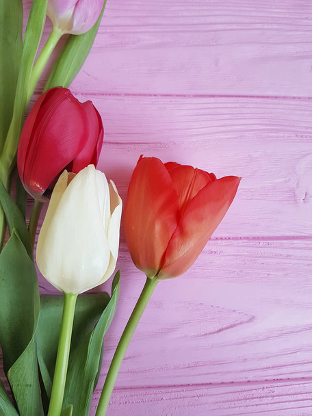mooie verse tulpen op een roze houten, plaats voor tekst - Foto, afbeelding