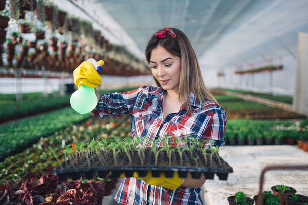 Attractive young woman working in greenhouse and enjoying in beautiful flowers. She holding and examining small seedlings - Fotografie, Obrázek
