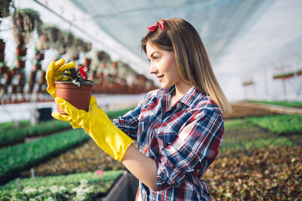 Attractive young woman working in greenhouse and enjoying in beautiful flowers. She holding and examining small seedlings - Фото, изображение