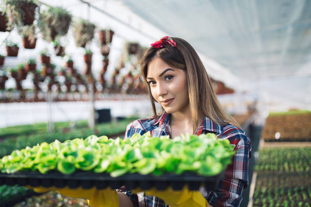 Attractive young woman working in greenhouse and enjoying in beautiful flowers. She holding and examining small seedlings - Foto, immagini