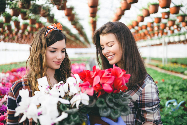 Two attractive young women working in greenhouse and enjoying beautiful flowers - Fotó, kép