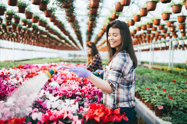Two attractive young women working in greenhouse and enjoying beautiful flowers - Фото, изображение