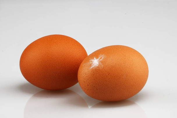 Dois ovos com pena
 - Foto, Imagem