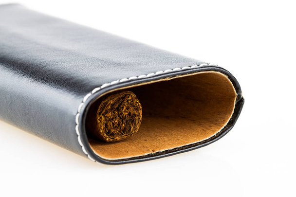 Havana cigar in leather case - Photo, Image
