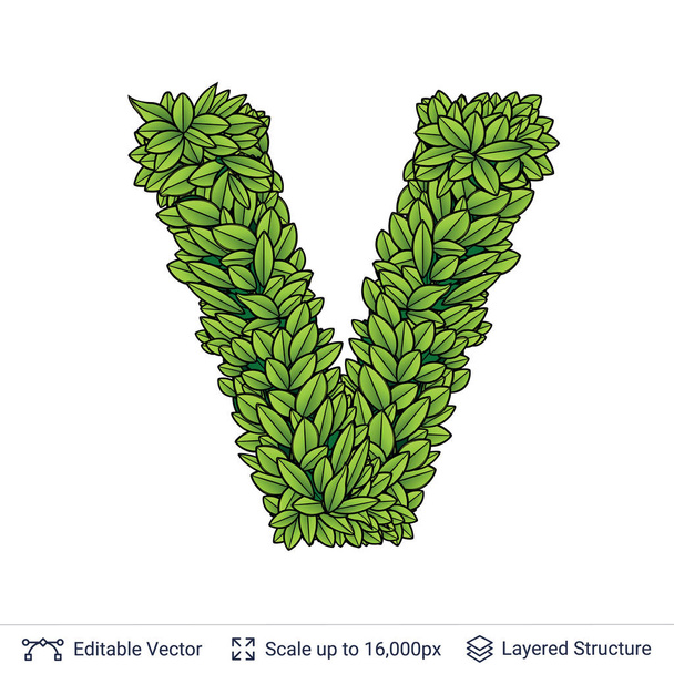 Letter V-symbool van groene bladeren. - Vector, afbeelding