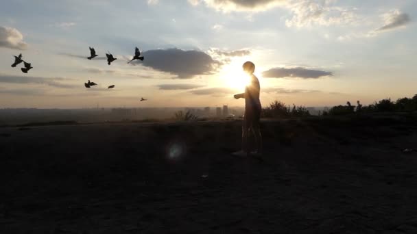 Biondo uomo nutre colombe su un bel prato al tramonto in slo-mo
 - Filmati, video