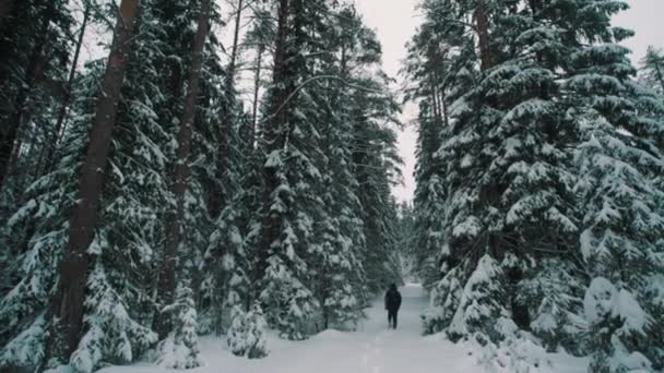 Young man walking on snow covered trail in woods on winter day - Footage, Video