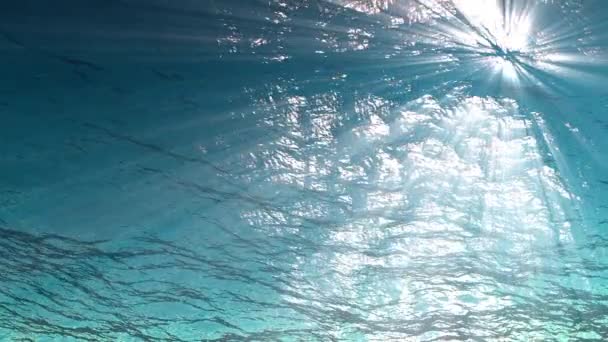 Лучи света пробираются сквозь океанские волны из подводной петли анимации Высококачественные Световые лучи, проникающие сквозь них. Большой популярный морской фон. Безмордонный лоуп 4к
 - Кадры, видео