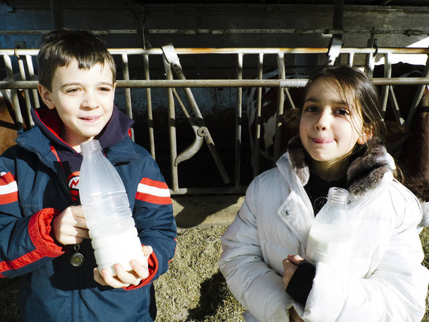 children drink fresh milk, from the bottles on a farm, behind th - Foto, Bild
