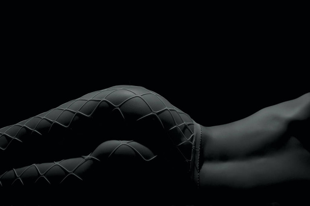 Σιλουέτα του ένα μέρος του σώματος, Γυμνό γυναίκα με fishnets σε μαύρο φόντο - Φωτογραφία, εικόνα