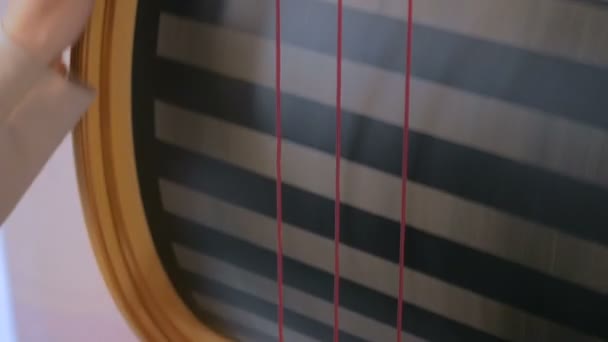 Woman touching strings of handmade wooden barrel - Footage, Video
