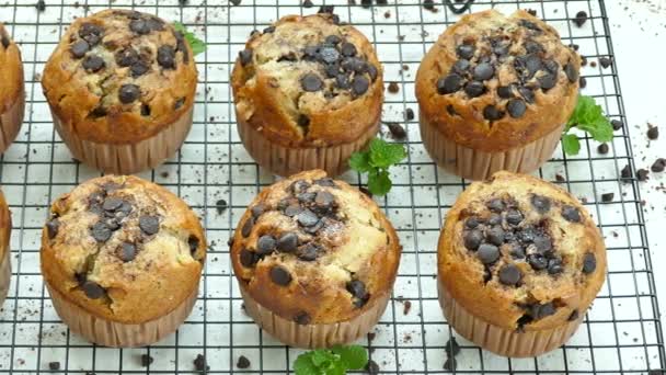 lahodné domácí muffiny čokoládové kapkami kovové mřížky - Záběry, video