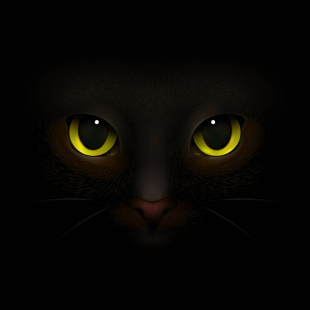 Monstruo de gato Composición realista
 - Vector, imagen