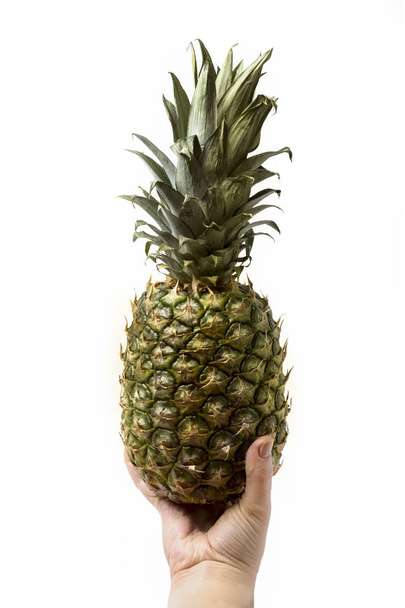 Ananas elinde - Fotoğraf, Görsel