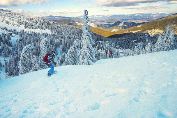 Snowboarder rides down among snow covered fir trees  - Fotoğraf, Görsel