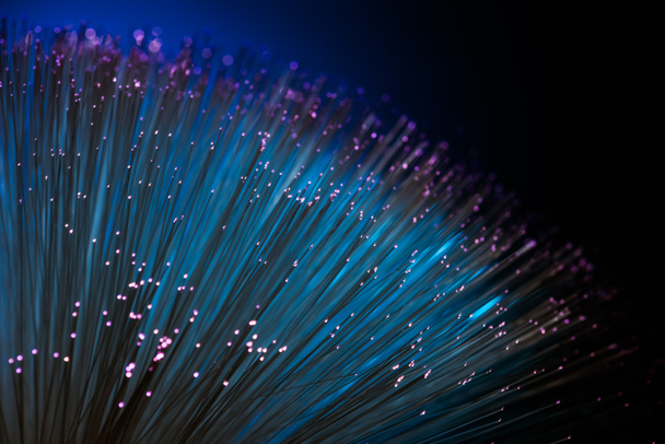 Primer plano de fondo de textura de fibra óptica azul, tecnología de comunicación
 - Foto, Imagen