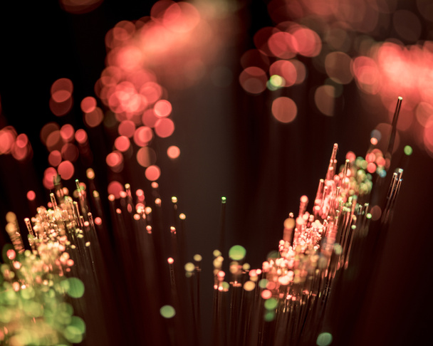 selective focus of shiny pink fiber optics background - Photo, Image
