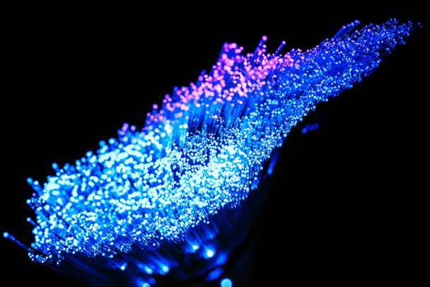 leuchtende blaue und lila Glasfaseroptik auf dunklem Hintergrund - Foto, Bild