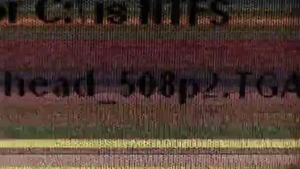 Blikající chyba textu 14 A computeru rychle, blikání, stroboskopické efekty animace textu chyby počítače na obrazovce s pozadím glitching - Záběry, video