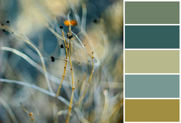 Fundo floral abstrato. paleta de cores com amostras de cores de cortesia
 - Foto, Imagem