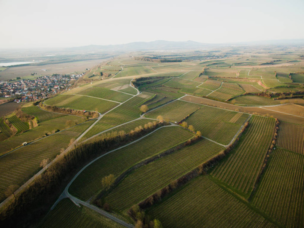 グリーン フィールド、ドイツで雄大な風景の空撮 - 写真・画像