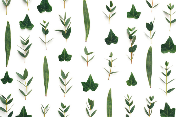 Полноценный пластырь с зелеными листьями
 - Фото, изображение