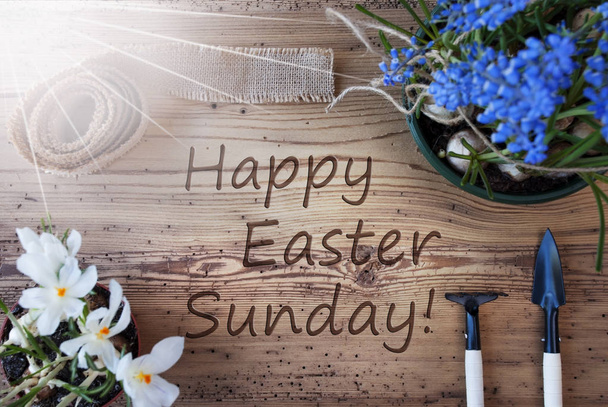 Сонячна весна квіти, текст щасливої Великодня Неділя - Фото, зображення
