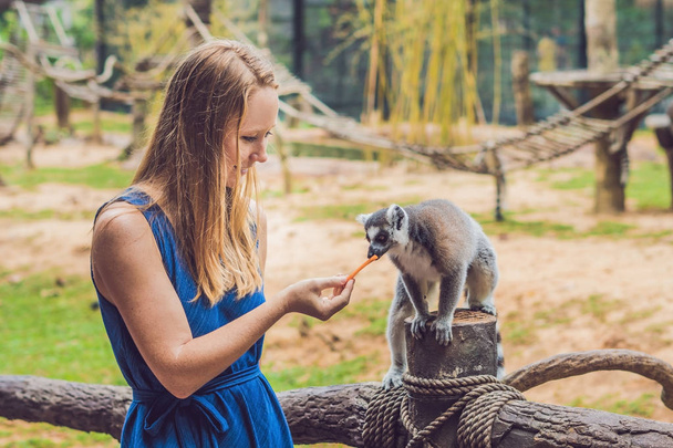 Young woman is fed Ring-tailed lemur - Lemur catta. Beauty in nature. Petting zoo concept. - Foto, Imagem