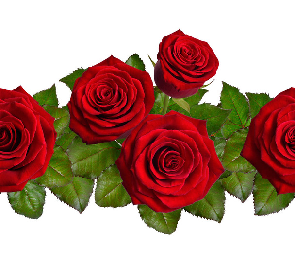 Seamless border with red roses. Isolated on white background. - Foto, Imagen