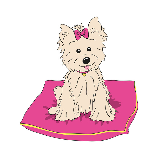 Cairn terrier cão raça vintage ilustração
 - Vetor, Imagem