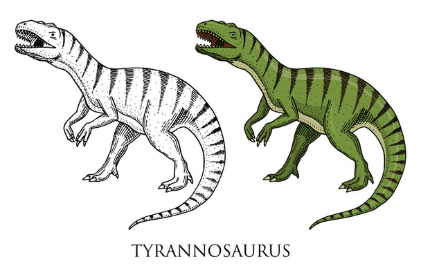 Dinosaurs Tyrannosaurus rex, Tarbosaurus, Struthiomimus skeletons, fossils. Prehistoric reptiles, Animal engraved Hand drawn vector. - Vecteur, image
